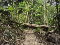 -武吉知马自然保护区