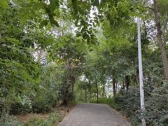 -仙岳公园