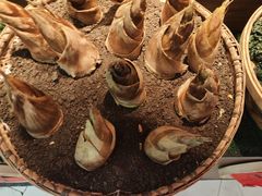 -老阿爸鲜鱼土菜(园区永旺店)