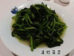 -同庆楼(滨湖万达广场店)