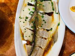 -西新饭店(城中店)