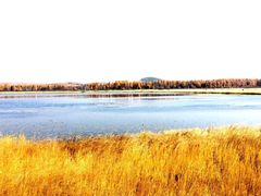 -塞罕坝国家级自然保护区