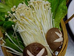 -同仁四季椰子鸡(海岸城天利店)