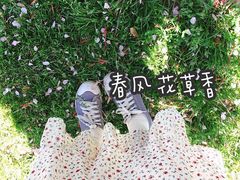 -好利来(鲁谷店)