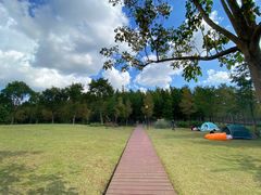 -上海浦江郊野公园-3号停车场