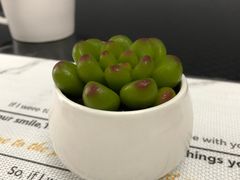 -金贝儿(嘉陵路店)