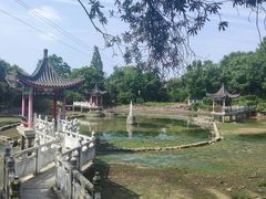 -青龙山国家森林公园