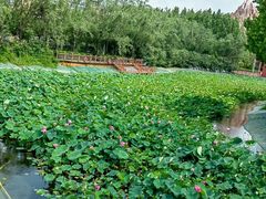 -郑州方特梦幻王国