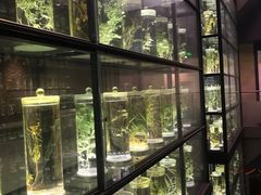 -广东中医药博物馆