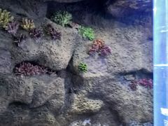 -南昌海洋公园