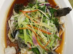 -有心德(麦地店)