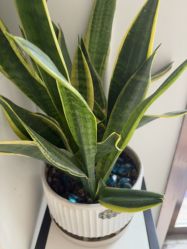 -香秀空间科技抗衰·美容中心