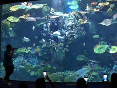 -暹罗海洋世界