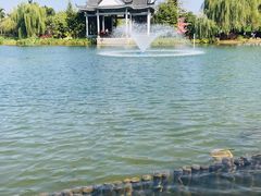 -映月湖公园