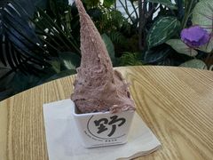 -野人先生Gelato(上海长宁龙之梦店)
