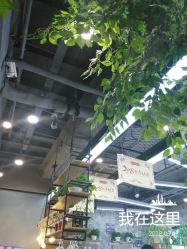 -木北护肤造型