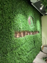 -变美丽半永久纹眉连锁·机器野生眉•洗眉