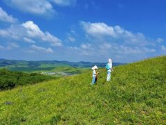 -御道口草原森林风景区
