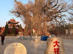 -大槐树寻根祭祖园