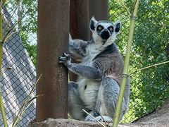 -北京野生动物园