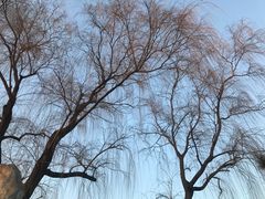 -十三陵雪世界滑雪场