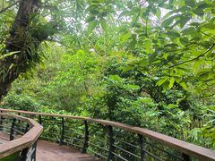 -深圳仙湖植物园