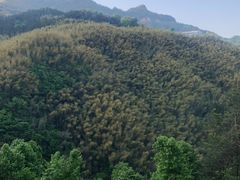-罗田薄刀峰风景区