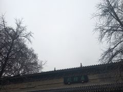 -灵谷景区