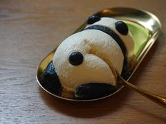 -轩客会(熊猫书店)
