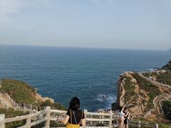 -杨梅坑