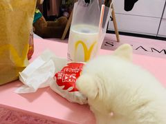-麦当劳(宝山大厦店)