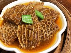 -点都德·毕德寮