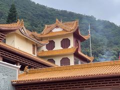 -深圳仙湖植物园