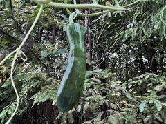 -杭州桐庐康莱德酒店西餐厅-舍