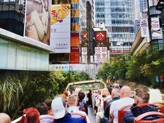-Big Bus Tours 敞篷观光巴士