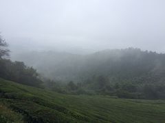 -敬亭山风景名胜区