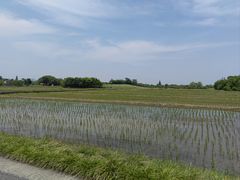 -良渚古城遗址公园