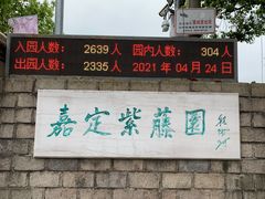 -嘉定紫藤园
