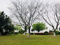 -汤山公园