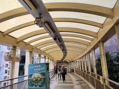 -星光大道
