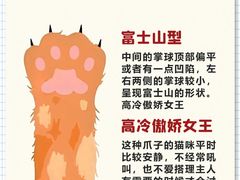 -翊宠yipet猫狗购宠庄园犬舍•猫舍