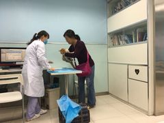 -纳吉亚猫专科动物诊疗中心(蒋宅口分院)
