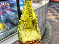 -野人先生现做冰淇淋(西安赛格店)