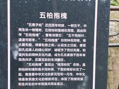 -孔府