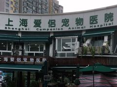 -爱侣宠医·鹦鹉专科·小型哺乳类·异宠专科(灵石路店)