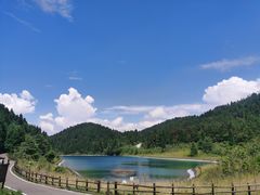 -武陵山森林公园