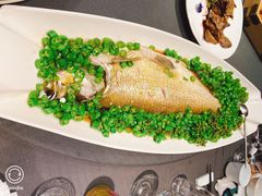 -望乡楼上海菜(日月光店)