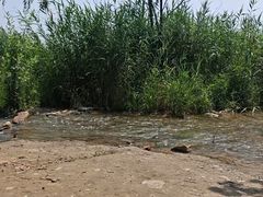 -绿堤公园