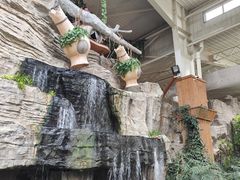 -南宫五洲植物乐园