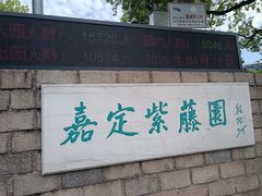 -嘉定紫藤园